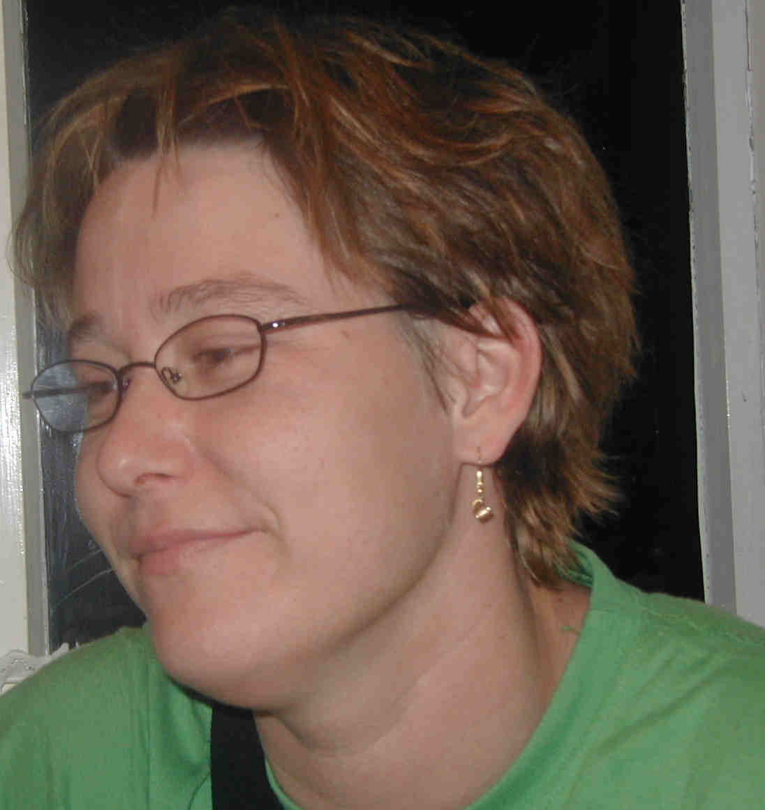 sari 2002